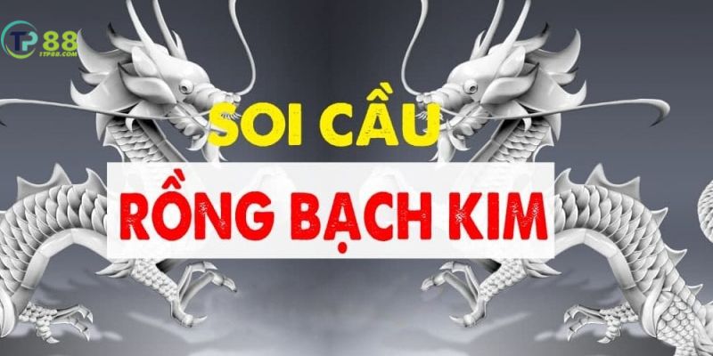 Soi cầu rồng bạch kim